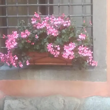 Apartamento Casa Mirella *